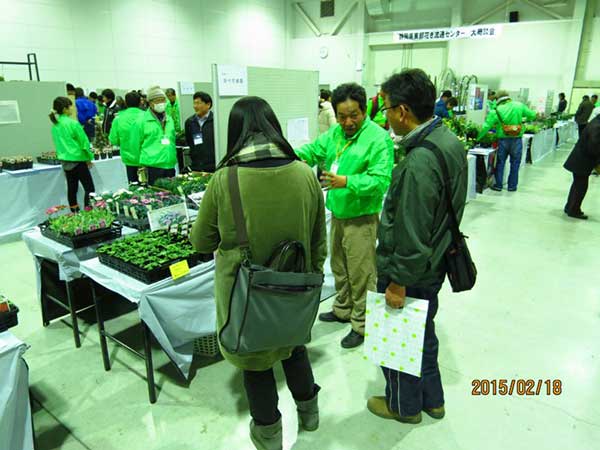 静岡県東部花き流通センター大商談会２０１５写真6