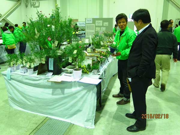 静岡県東部花き流通センター大商談会２０１５写真7