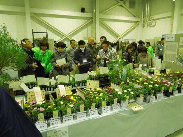 静岡県東部花き流通センター大商談会２０１５写真8